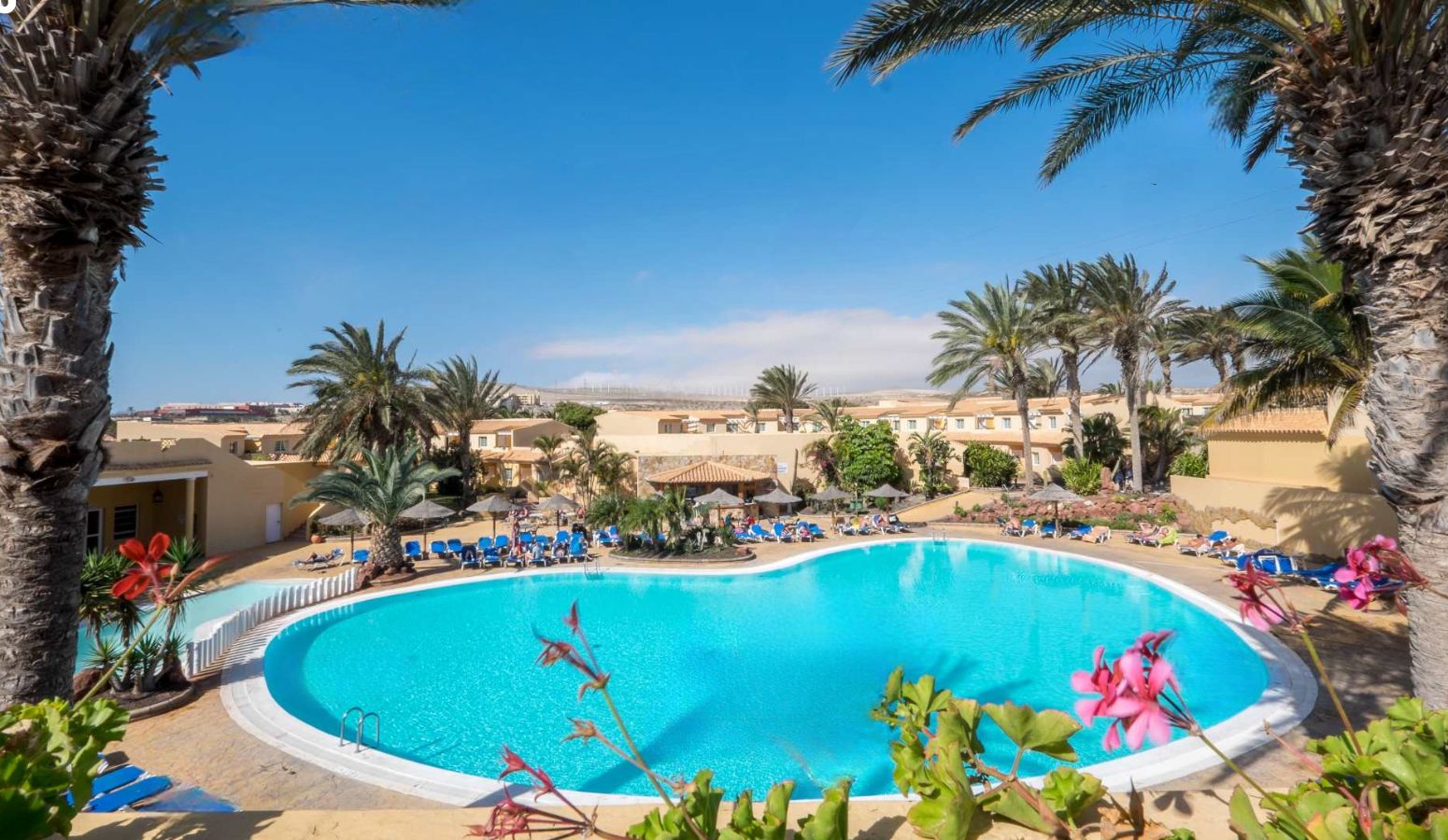 viaja fuerteaventura alojamiento hotel Royal Suite Fuerteventura 3*